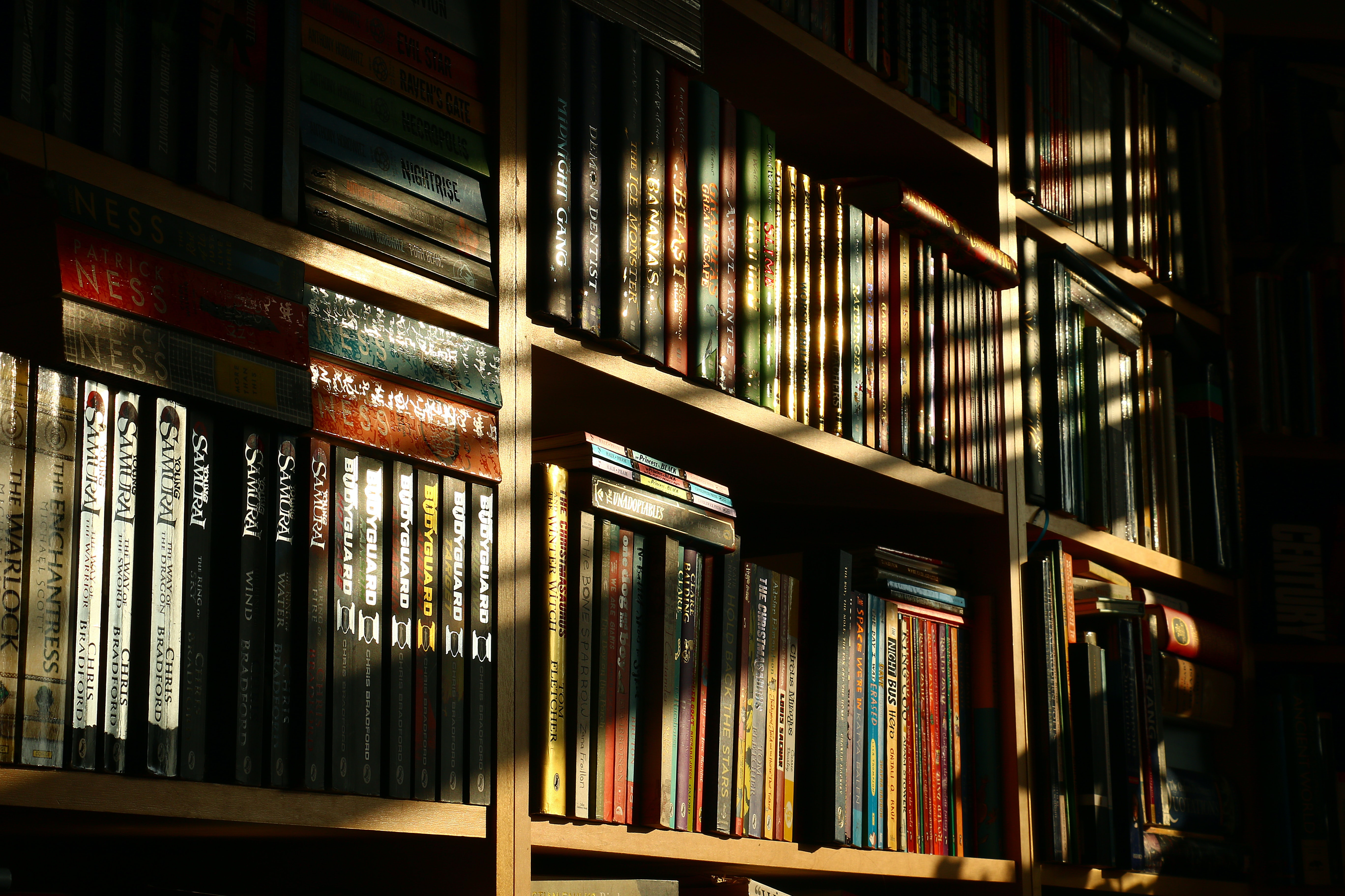 Close-up photo of a bookshelf filled with books. Early morning or late afternoon sun rays hit the books and give the photo a warm atmosphere.